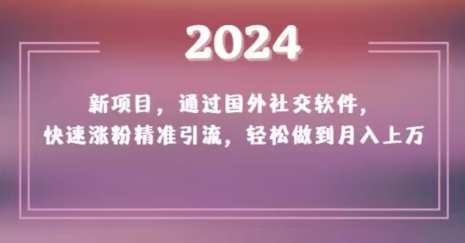 2024新项目,通过国外社交软件,快速涨粉精准引流,轻松做到月入上万【揭秘】插图 2024新项目,通过国外社交软件,快速涨粉精准引流,轻松做到月入上万【揭秘】
