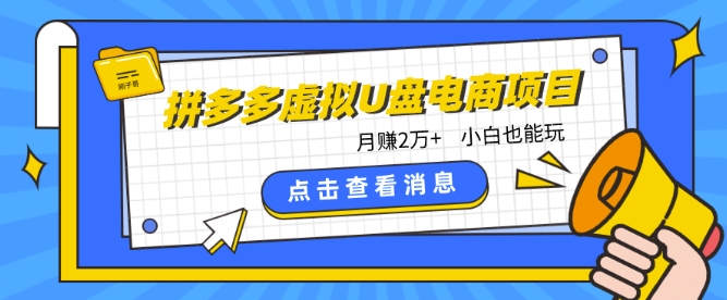 拼多多虚拟U盘电商红利项目:月赚2万+,新手小白也能玩插图 拼多多虚拟U盘电商红利项目:月赚2万+,新手小白也能玩