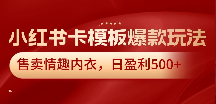 小红书卡模板爆款玩法,售卖情趣内衣,日盈利500+【揭秘】插图 小红书卡模板爆款玩法,售卖情趣内衣,日盈利500+【揭秘】