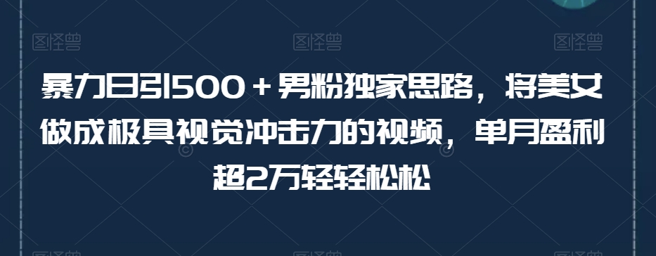 暴力日引500+男粉独家思路,将美女做成极具视觉冲击力的视频,单月盈利超2万轻轻松松插图 暴力日引500+男粉独家思路,将美女做成极具视觉冲击力的视频,单月盈利超2万轻轻松松