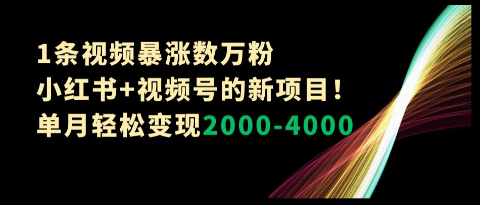 1条视频暴涨数万粉–小红书+视频号的新项目!单月轻松变现2000-4000【揭秘】插图 1条视频暴涨数万粉--小红书+视频号的新项目!单月轻松变现2000-4000【揭秘】