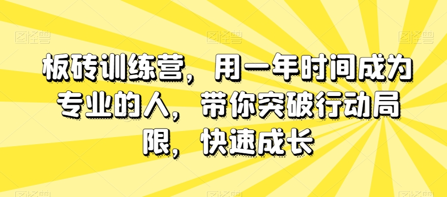 板砖训练营,用一年时间成为专业的人,带你突破行动局限,快速成长插图 板砖训练营,用一年时间成为专业的人,带你突破行动局限,快速成长