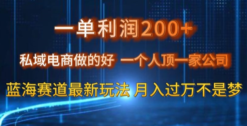 一单利润200私域电商做的好,一个人顶一家公司蓝海赛道最新玩法【揭秘】插图 一单利润200私域电商做的好,一个人顶一家公司蓝海赛道最新玩法【揭秘】