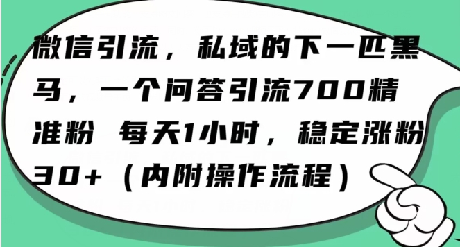 怎么搞精准创业粉?微信新赛道,每天一小时,利用Ai一个问答日引100精准粉插图 怎么搞精准创业粉?微信新赛道,每天一小时,利用Ai一个问答日引100精准粉