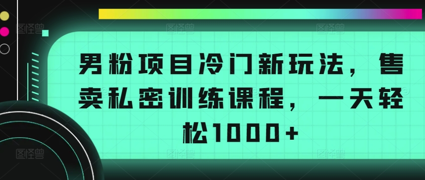 男粉项目冷门新玩法,售卖私密训练课程,一天轻松1000+【揭秘】插图 男粉项目冷门新玩法,售卖私密训练课程,一天轻松1000+【揭秘】