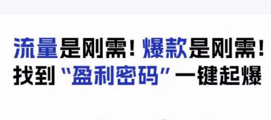 电商盈利精品课:6大盈利密码让产品更好卖,流量是刚需!爆款是刚需!找到”盈利密码”一键起爆插图 电商盈利精品课:6大盈利密码让产品更好卖,流量是刚需!爆款是刚需!找到