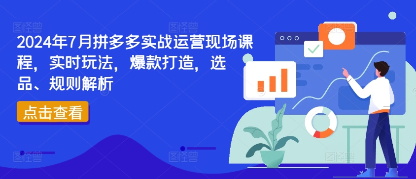 2024年7月拼多多实战运营现场课程,实时玩法,爆款打造,选品、规则解析插图 2024年7月拼多多实战运营现场课程,实时玩法,爆款打造,选品、规则解析