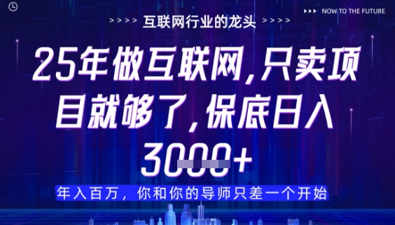 什么!25年你还在找项目做?风口早就变了,卖项目才是稳挣不赔【揭秘】插图 什么!25年你还在找项目做?风口早就变了,卖项目才是稳挣不赔【揭秘】