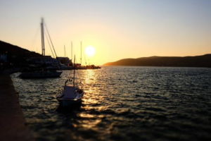 闷声发财的项目，利润率超700%的低门槛行业！