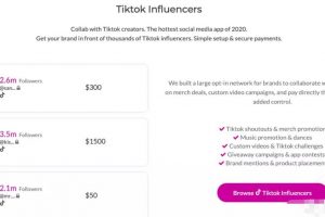 TikTok站外引流亚马逊红人营销具体操作方法