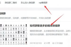 另类网站赚钱项目，截流实现快速赚钱！