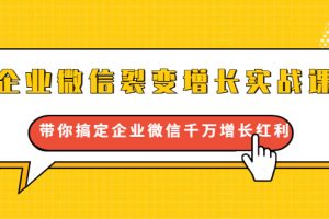 企业微信裂变增长实战课：带你搞定企业微信千万增长红利，新流量-新玩法