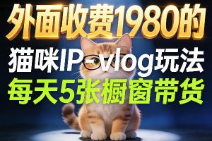 视频号新玩法：ai飞行视频玩法，每日稳定入账5张左右【配套齐全】
