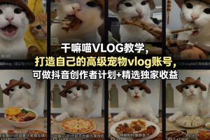 拼多多线上SVIP线上年卡，从认知到基础、从推广到活动、从活动到玩法，全链路实战（26年4月6日更新）